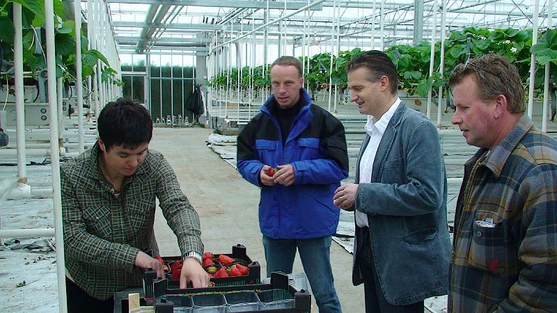 Elianny eerste veiling Fruitmasters Koningsplant john ard leon Vissers aardbeiplanten BV America (15).JPG